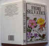 Fiori selvatici.jpg (49518 byte)