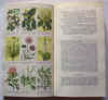 guida botanica d' Italia 1.jpg (55862 byte)