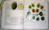 tutti frutti 1.jpg (41310 byte)