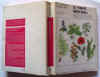 Le piante medicinali.jpg (43728 byte)