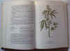 Piante medicinali italiane 1.jpg (50563 byte)