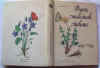 Piante medicinali italiane.jpg (44286 byte)