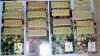 le erbe 1.jpg (165350 byte)