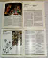 le erbe 3.jpg (133030 byte)