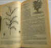 dizionario erbe medicinali 2.jpg (145911 byte)