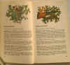 piccola enciclopedia piante medicinali 2.jpg (165239 byte)