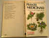 piccola enciclopedia piante medicinali.jpg (137882 byte)