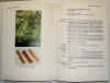 piante medicinali cinesi 1.jpg (42704 byte)