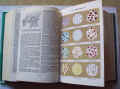 dizionario medico 1.jpg (72313 byte)