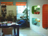 foto3.jpg (49469 byte)