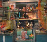 Dscn0314.jpg (76422 byte)