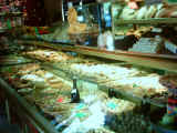 pandare 004.jpg (73635 byte)