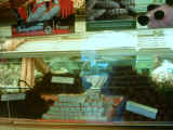 pandare 005.jpg (54111 byte)