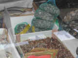 Dscn0661.jpg (63085 byte)