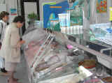 Dscn0662.jpg (72158 byte)