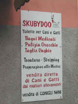 Dscn1171.jpg (52679 byte)