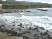 Dscn0001.jpg (43909 byte)
