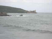 Dscn0002.jpg (23452 byte)
