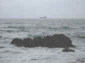 Dscn0003.jpg (25933 byte)