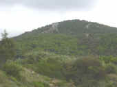 Dscn0004.jpg (27502 byte)