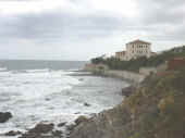 Dscn0005.jpg (28717 byte)