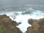 Dscn0009.jpg (35272 byte)