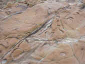 Dscn0010.jpg (41848 byte)