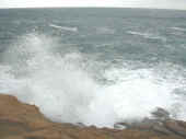 Dscn0014.jpg (31963 byte)
