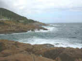 Dscn0015.jpg (29062 byte)