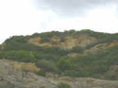Dscn0021.jpg (23705 byte)