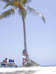 Dscn0268.jpg (25322 byte)