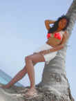 Dscn0276.jpg (28029 byte)