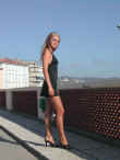 Dscn1521.jpg (49045 byte)
