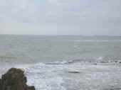 Dscn0050.jpg (23637 byte)