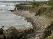 Dscn0053.jpg (49150 byte)