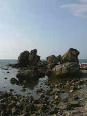 Dscn0121.jpg (25080 byte)