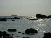Dscn0147.jpg (24027 byte)