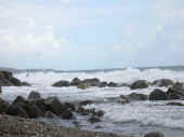 Dscn0343.jpg (23857 byte)