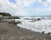 Dscn0350.jpg (31272 byte)