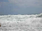 Dscn0355.jpg (21300 byte)