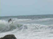 Dscn0361.jpg (16558 byte)