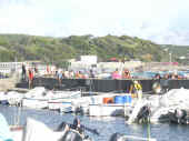 Dscn0390.jpg (37082 byte)