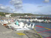 Dscn0391.jpg (31896 byte)