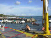 Dscn0393.jpg (30967 byte)