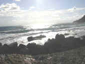 Dscn0395.jpg (26112 byte)