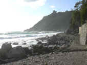 Dscn0396.jpg (28168 byte)