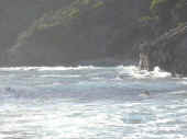 Dscn0405.jpg (25971 byte)