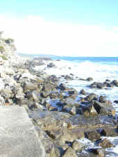Dscn0406.jpg (63744 byte)