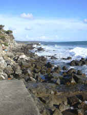 Dscn0407.jpg (59298 byte)