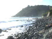 Dscn0410.jpg (30534 byte)